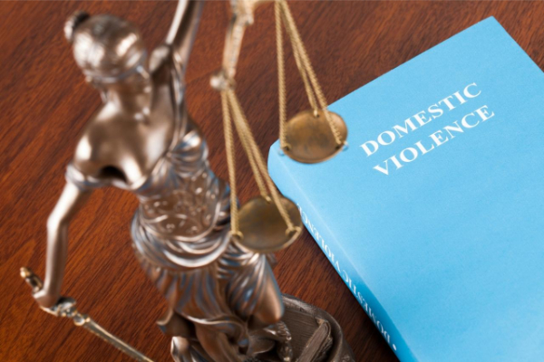 A Guide to the Domestic Violence (Prevention and Protection) Act, 2010 (DVPPA) in Bangladesh A Guide to the Domestic Violence (Prevention and Protection) Act, 2010 (DVPPA) in Bangladesh